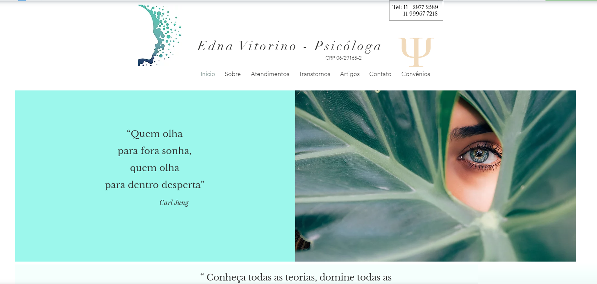 WEB DESIGNER